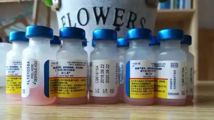 猫咪疫苗的详细手册