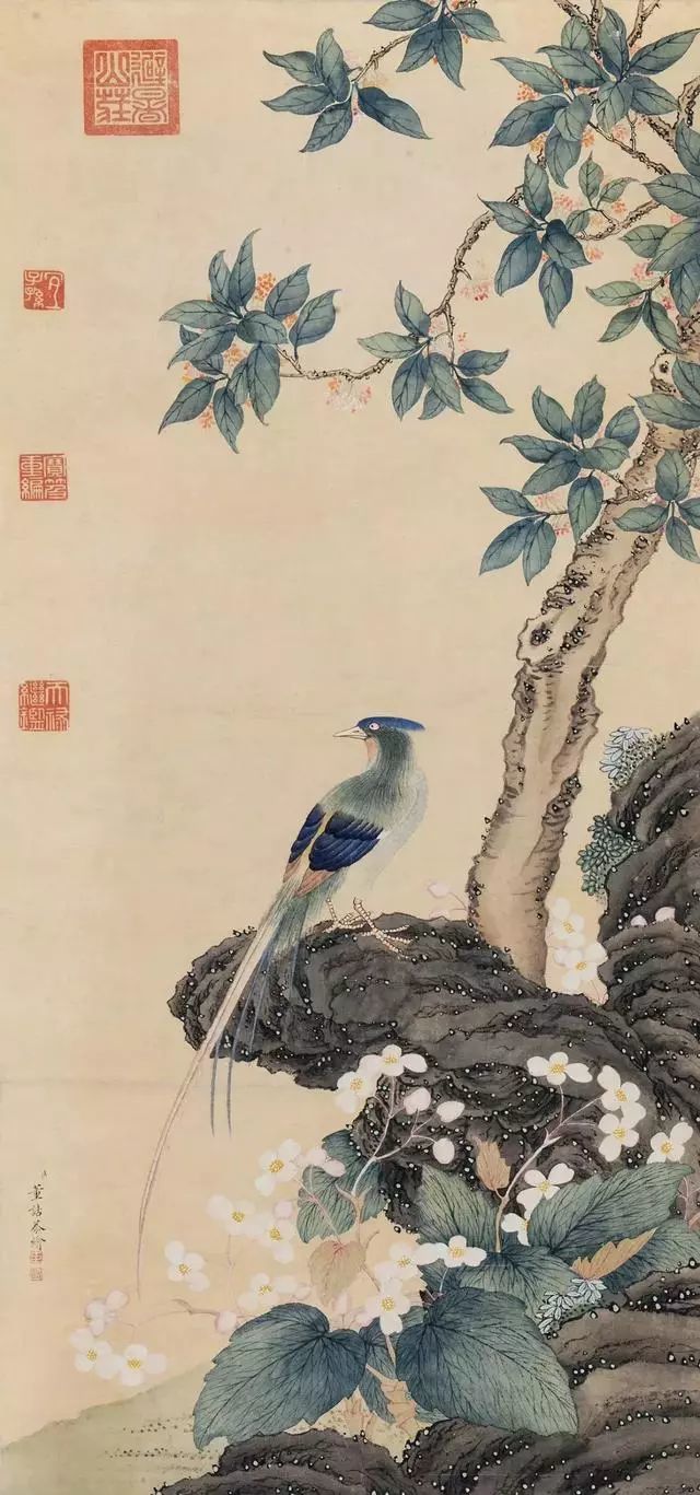 国画中的桂花,别有一番韵味