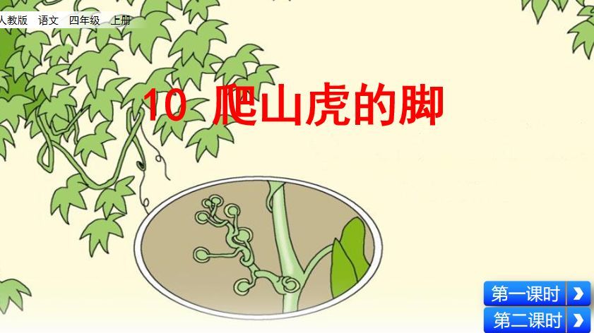 预习部编版四年级语文上册第10课爬山虎的脚图文讲解