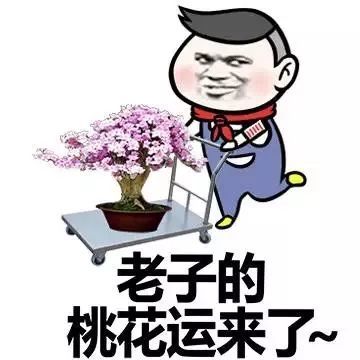 桃花运表情图片