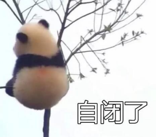 熊猫的愿望实现了不仅拍出了彩色照片还拥有李荣浩的眼睛