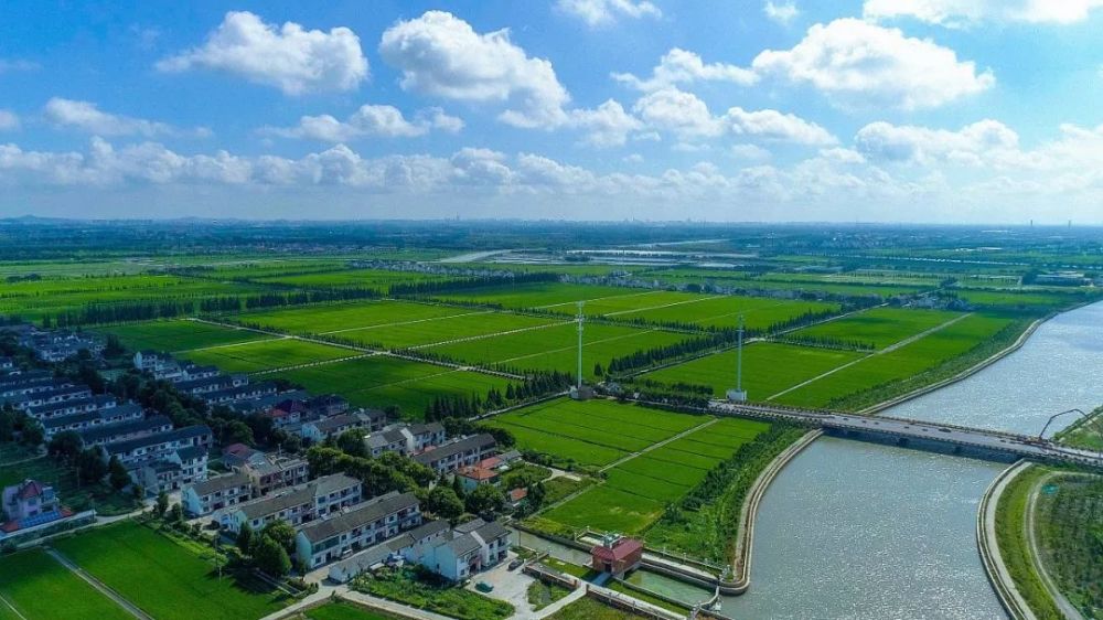 叮咚新浜镇三条精品路线请查收