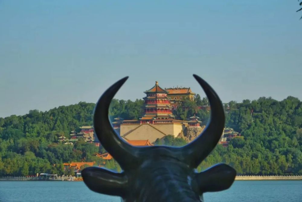 北京|北京的秋天，谁不爱呢？