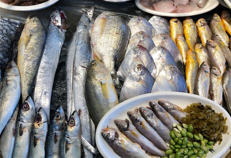 全面开渔,温岭近800艘渔船驶向东海!