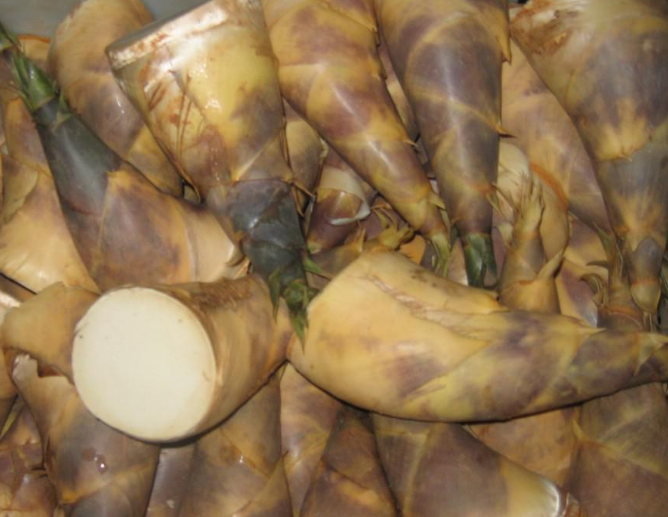 竹笋:竹笋具有低脂肪,低糖,多纤维的特点,食用竹笋不仅能促进肠道蠕动