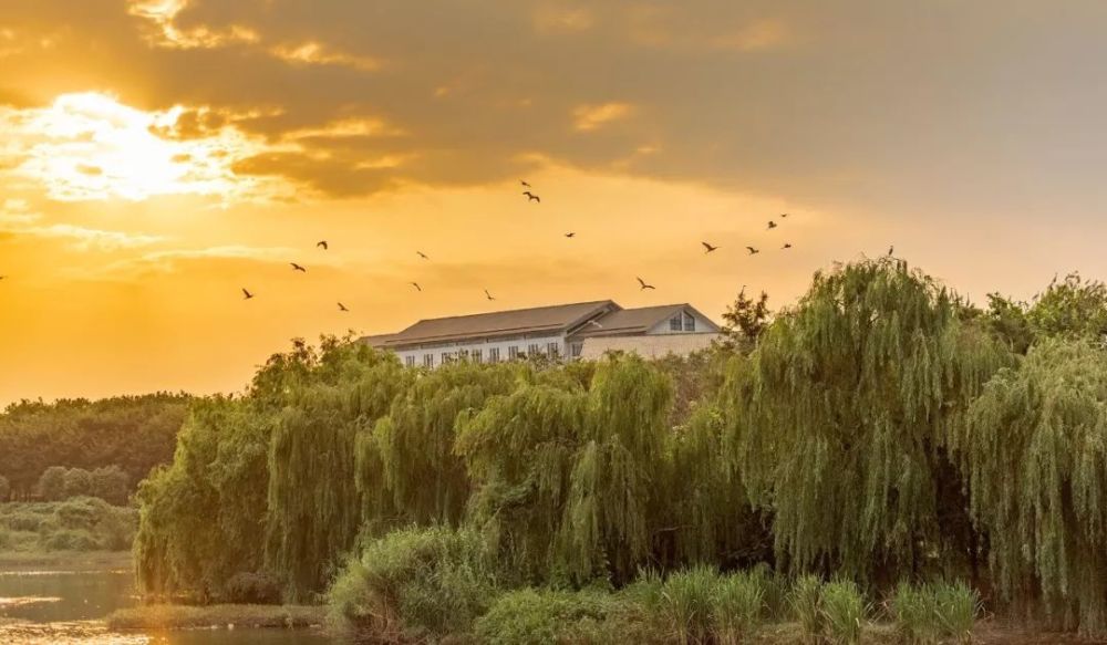 一起走进麦磨滩赏月!