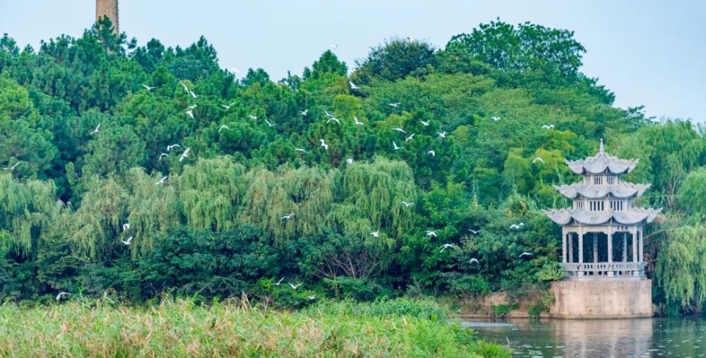 一起走进麦磨滩赏月!