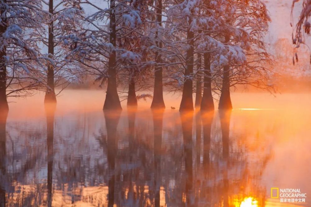 南京|秋天千万别去南京，否则就不想回去了