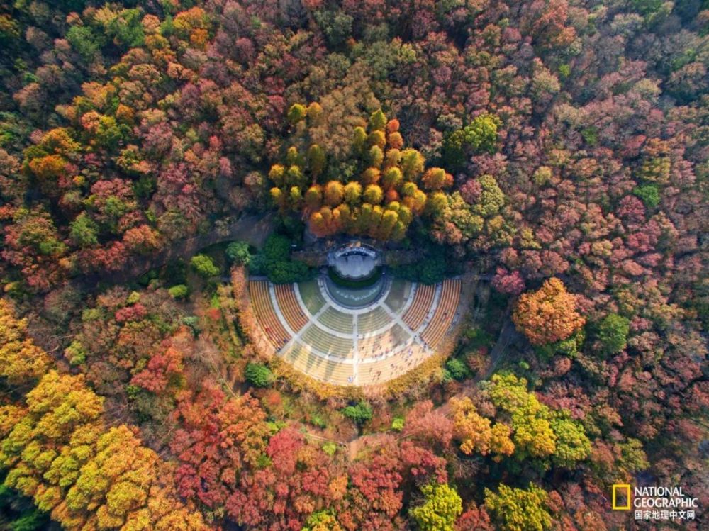 南京|秋天千万别去南京，否则就不想回去了