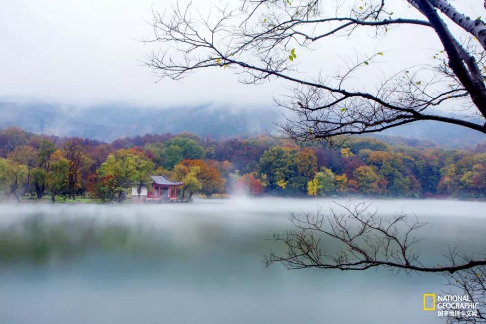 南京|秋天千万别去南京，否则就不想回去了