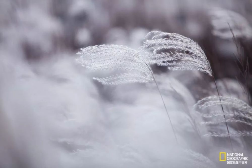 南京|秋天千万别去南京，否则就不想回去了