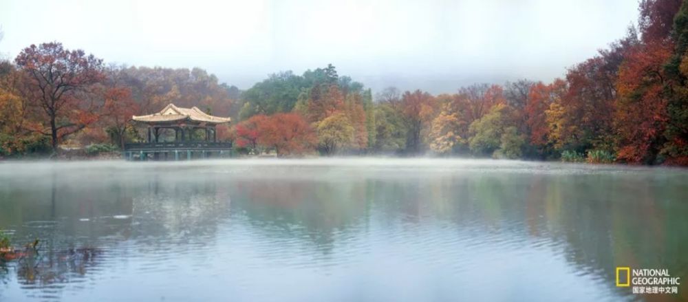 南京|秋天千万别去南京，否则就不想回去了