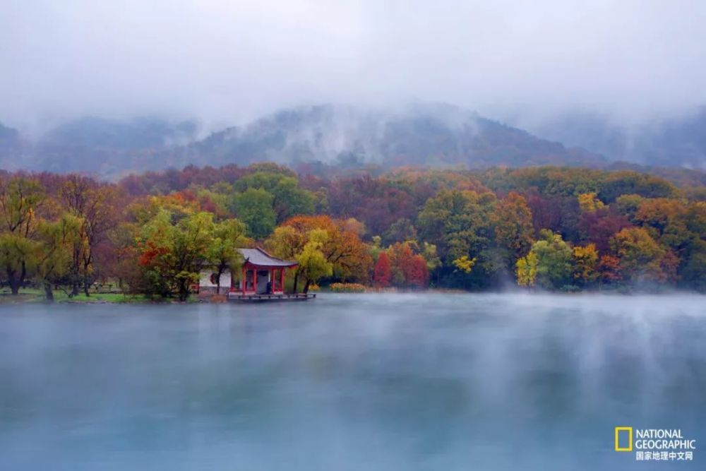 南京|秋天千万别去南京，否则就不想回去了