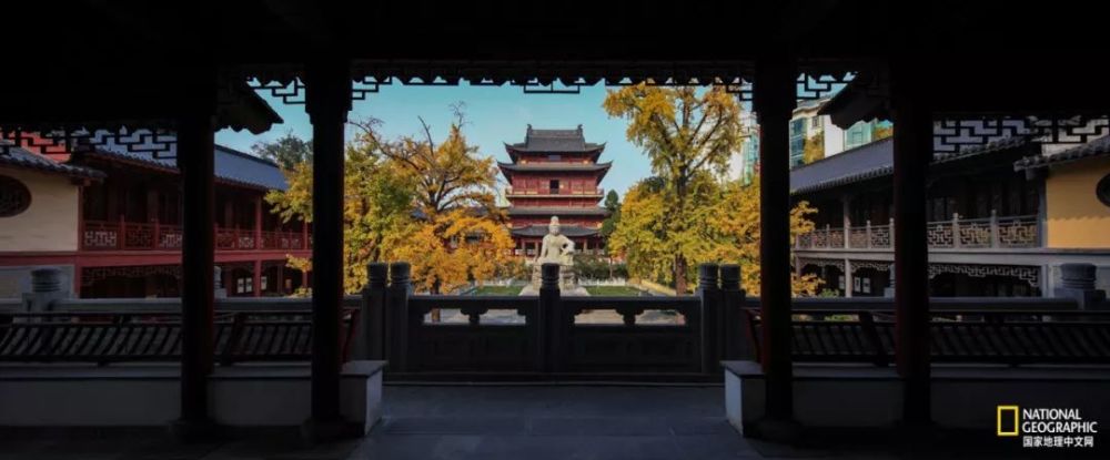 南京|秋天千万别去南京，否则就不想回去了