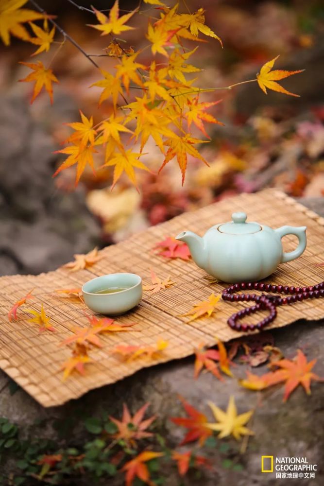 南京|秋天千万别去南京，否则就不想回去了