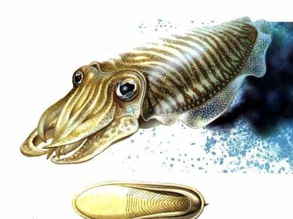 腾讯内容开放平台