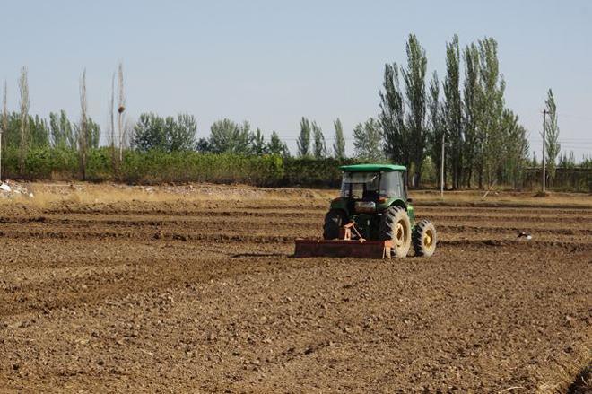 种植小麦前为什么要先整地只旋耕不深耕有哪些危害