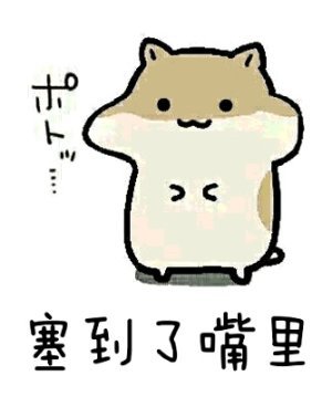 小仓鼠表情包:你陪我的瓜子