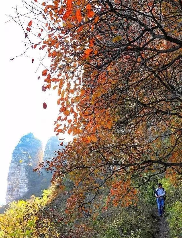 狼牙山镇|北京180公里处，有座英雄的山，这里风景美如画，秋色醉人！