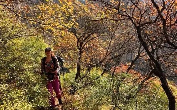 狼牙山镇|北京180公里处，有座英雄的山，这里风景美如画，秋色醉人！