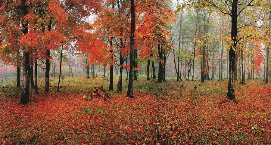 樺甸紅石國家森林公園