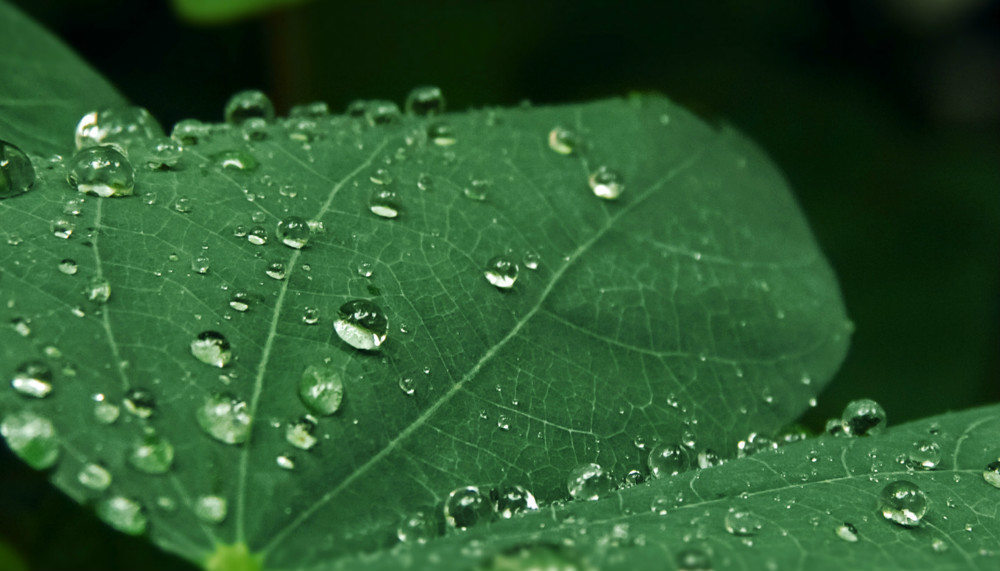 出航造句和解释_出航的例句有哪些-小孩子点读