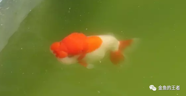 腾讯内容开放平台