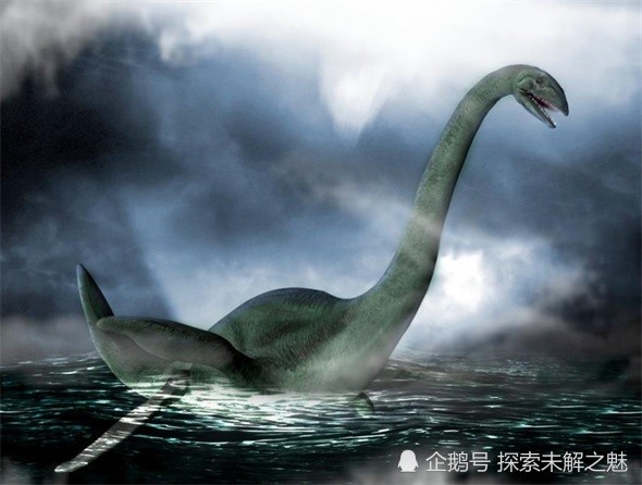 长江"水怪"告破!一块帆布引发乌龙事件,此前已有2起目击事件