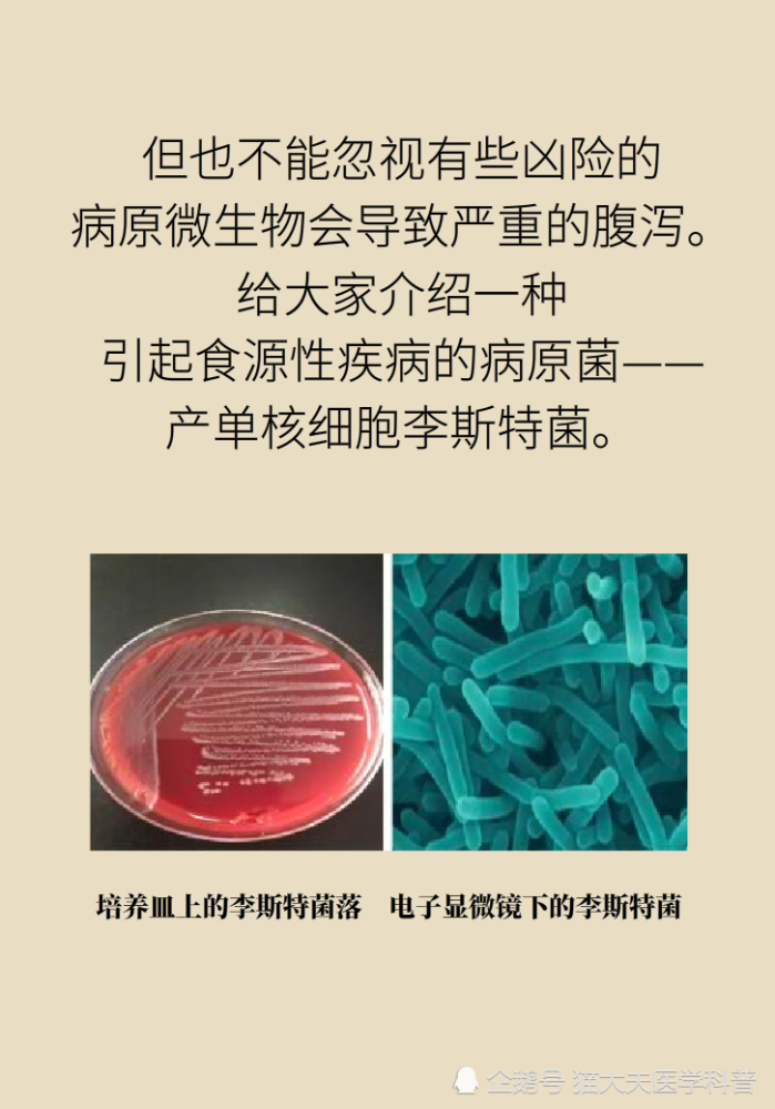 冰箱里竟然能藏20多种致病微生物尤其这几种太吓人了