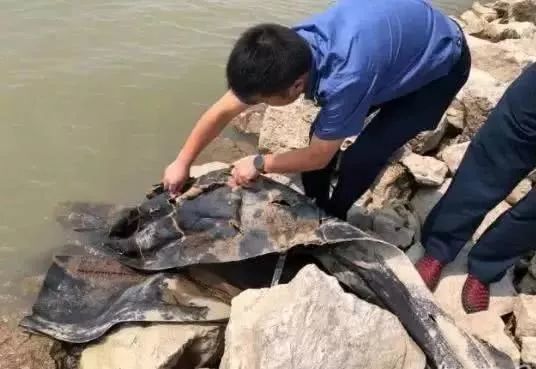 "三峡水怪"近照来了!网友调侃:走近科学也不这么拍