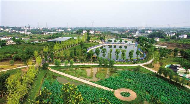 九龙坡区西彭镇探索乡村振兴三种产业发展模式