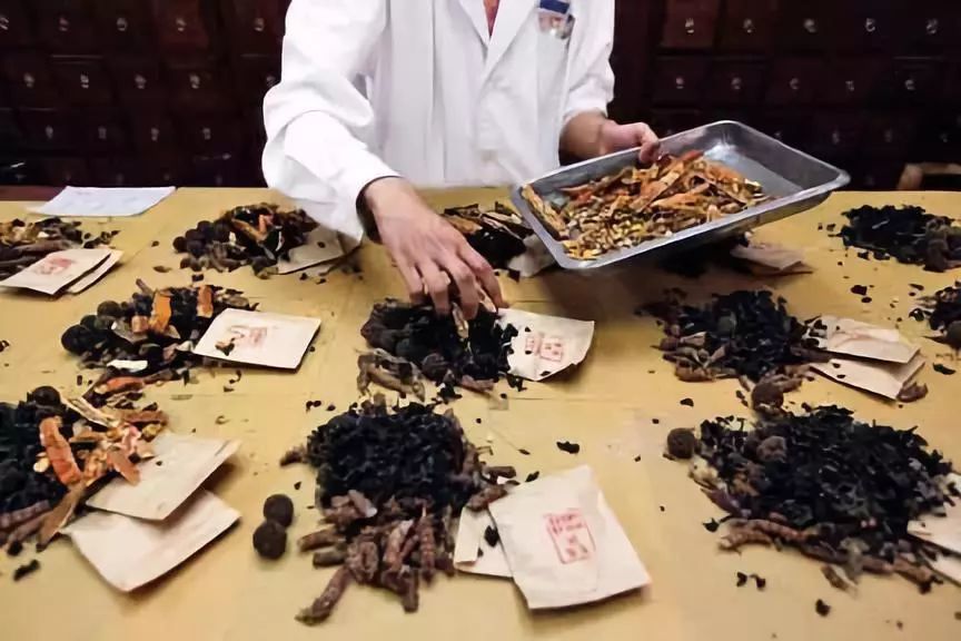 真不是开玩笑外国人对中医中药表现出的虔诚超乎你想象