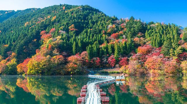 日本全国枫叶情报之红叶预测 东京 京都 北海道赏枫景点推介