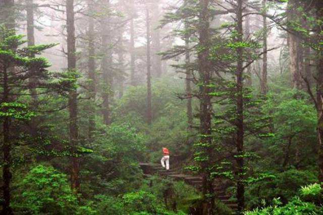 关于迷魂凼的神秘现象,目前流传的一共有四种推测,首