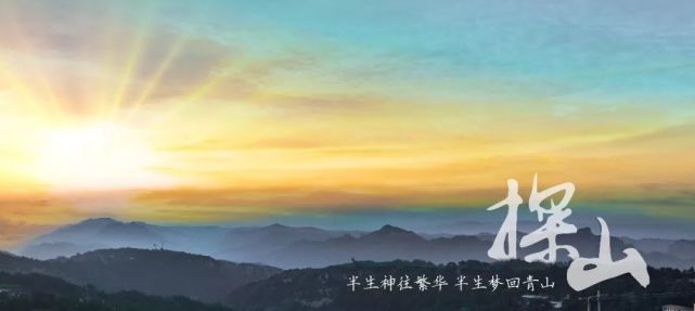 半生神往繁华，半生梦回青山