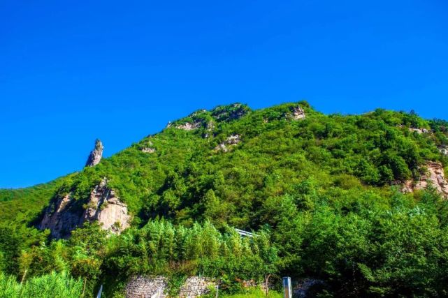 半生神往繁华，半生梦回青山