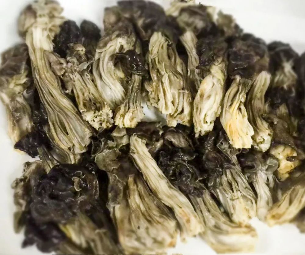 它是蘑菇中的精品,和当地细鳞鱼,天然的木耳和自然生长的猴头一起,被