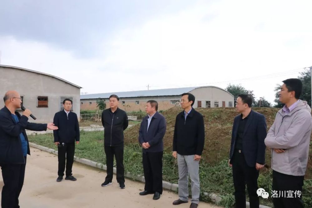 脱硫泵技术革新：工业环保路上的新星