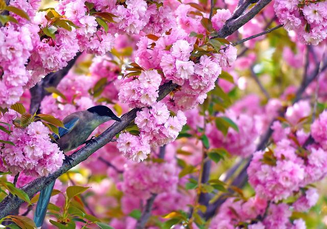 悦心塔罗 9月19日 星期四 十二星座运势