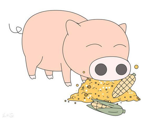 饲料|多雨天气，养猪场务必做好饲料的防霉、脱霉工作，保猪群健康！