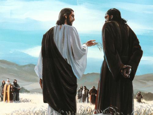 示剑情缘纠葛,底拿被玷辱,哥哥们报复,这场爱情代价太大了!