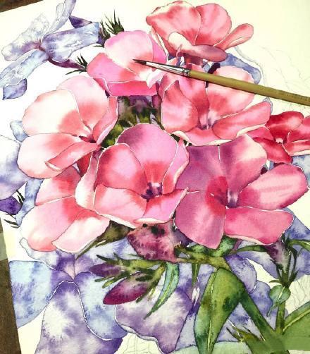 9幅自带阳光的水彩植物 如太阳花展露笑脸