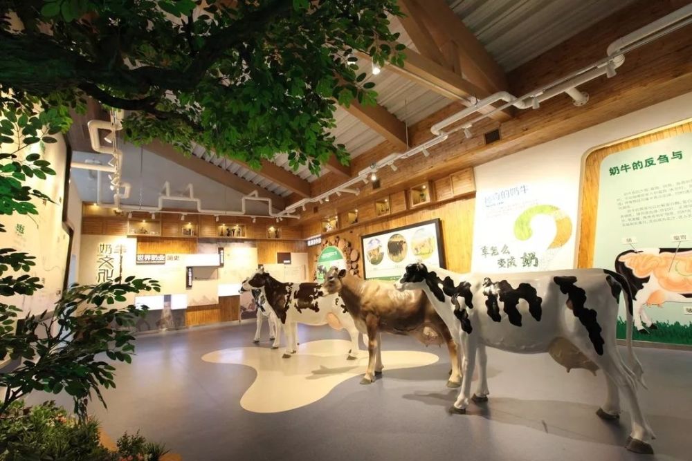 趣味十足的奶牛科普文化馆通过参观学习,我们了解了一杯牛奶的"前世