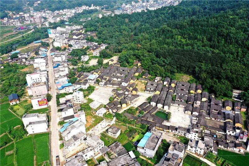 发布:雄起的平南!