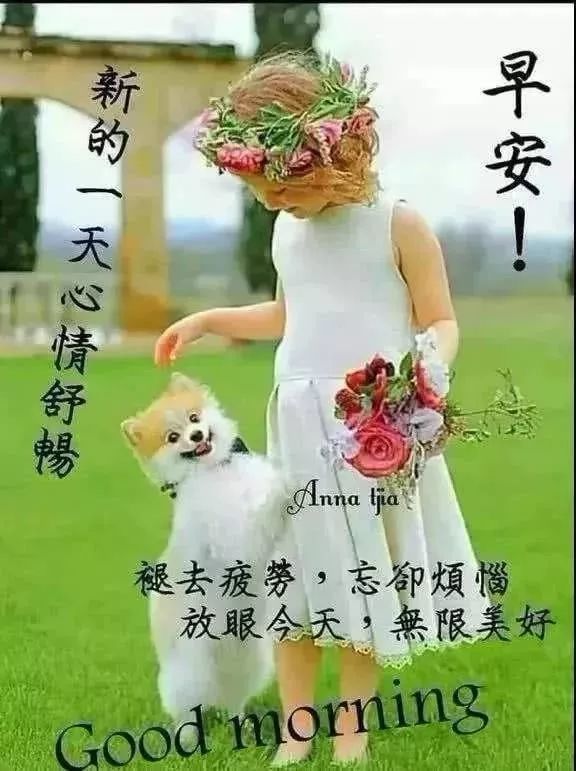 8张群发微信动态早上好问候动态表情图片早安祝福语慰问幸福语录