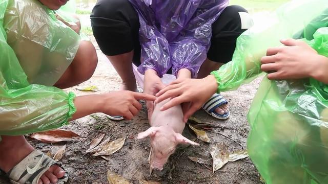 男子买了只小乳猪 才5斤 用2斤辣酱腌好 烤到猪皮焦脆 太香