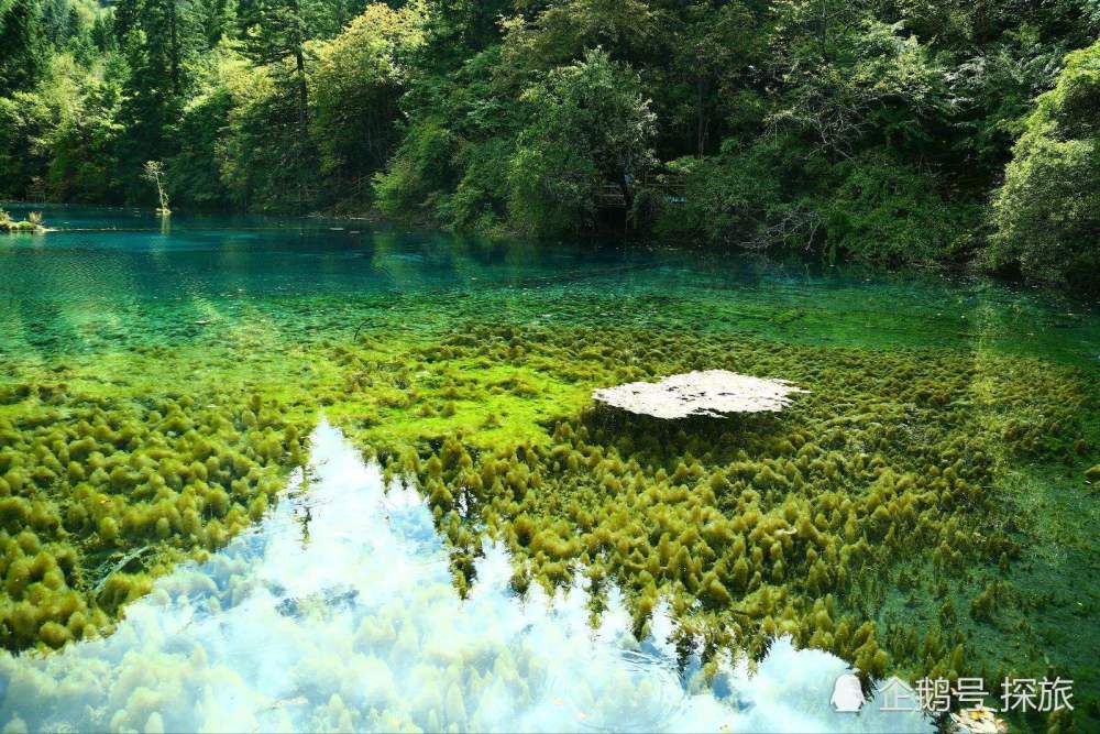 看看九寨溝這些名片就知道了:世界自然遺產,國家重點風景名勝區,國家