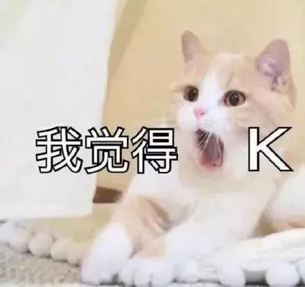 猫咪表情包:我不和你天下第一好了
