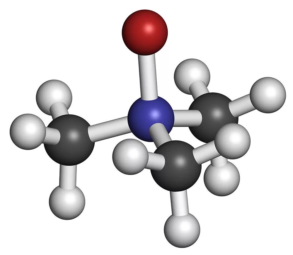 下降解生成三甲胺,当它与 δ-2 氨基戊酸,六氢吡啶等共存时则增强了异