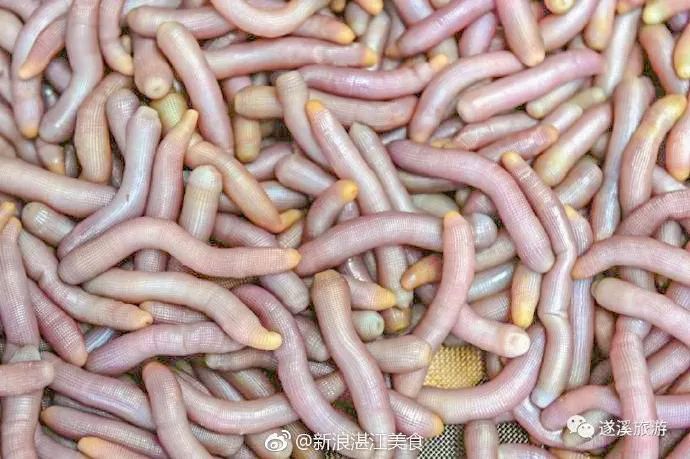 真香警告 美味的 神奇动物 在湛江